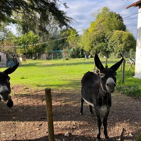 Casa Feletto Con Parco Vicino Uscita Autostrada E Fiera Сasa de vacaciones *